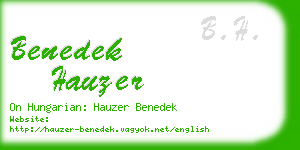 benedek hauzer business card